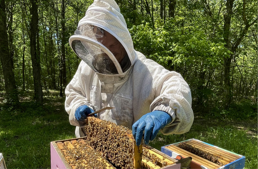 Premium, All-Natural Honey for Busy Entrepreneurs