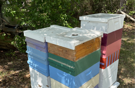Happy Bees on Our Family Farm