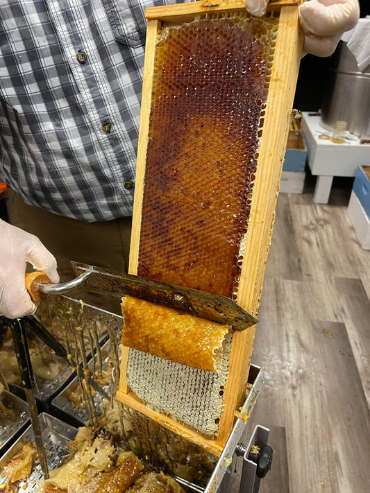 Why Every Field Needs a Keeper (And How We’re Helping You Get Started)