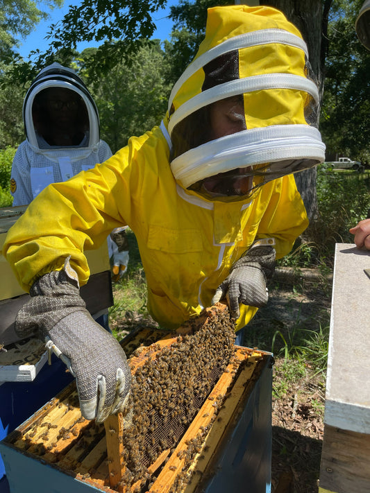 Are the Bees Endangered? The Heart of the Matter at Secret Garden Bees