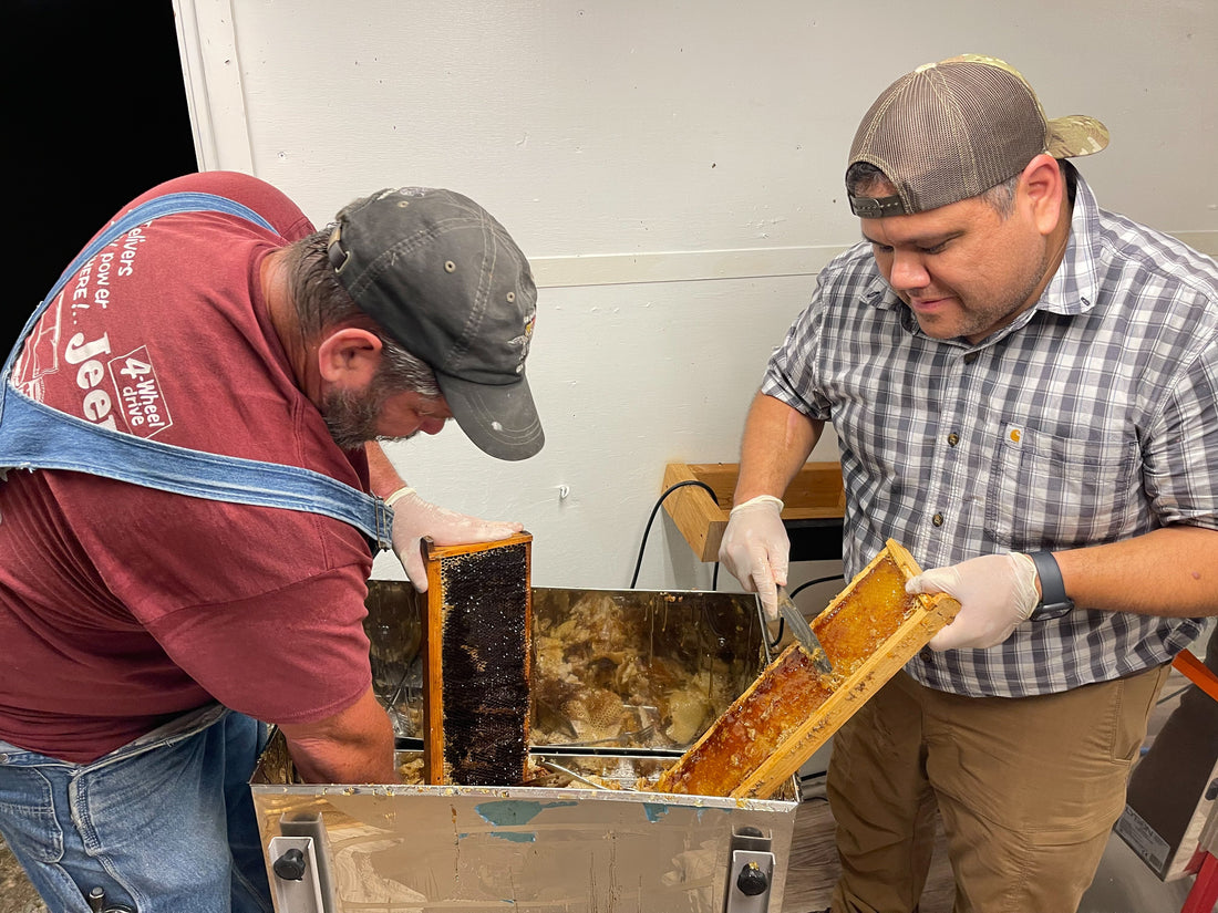 How We Care for Our Bees — And Why It Matters More Than Ever