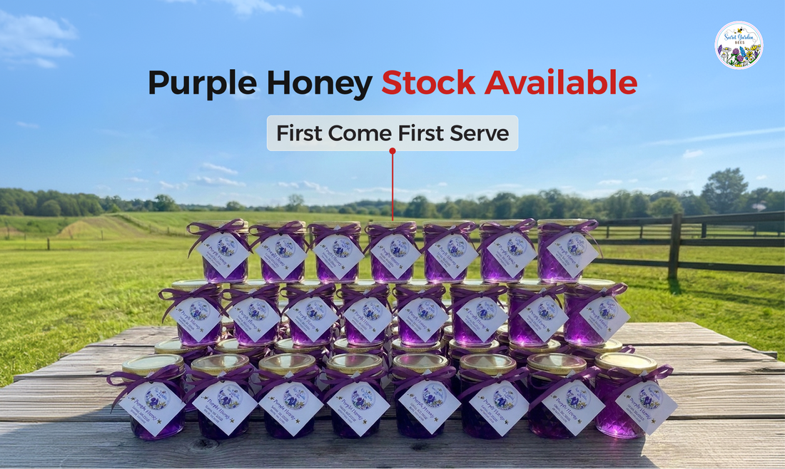 Where to Buy Purple Honey Before It Sells Out This Year