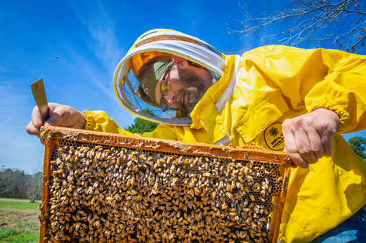 The Meadow in a Mason Jar: Why Every Harvest is a Landscape