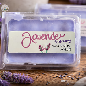 Farmhouse "Oopsies!" | Assorted Small-Batch Wax Melts