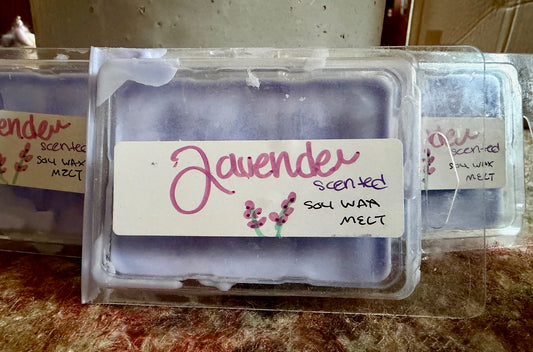 Farmhouse "Oopsies!" | Assorted Small-Batch Wax Melts